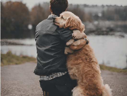 köpek arkadaslık
