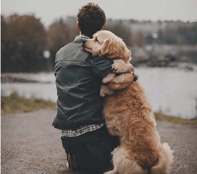 köpek arkadaslık