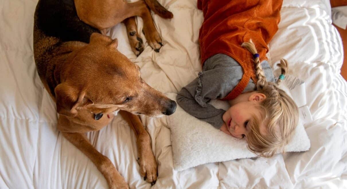 köpekler ve çoçuklar