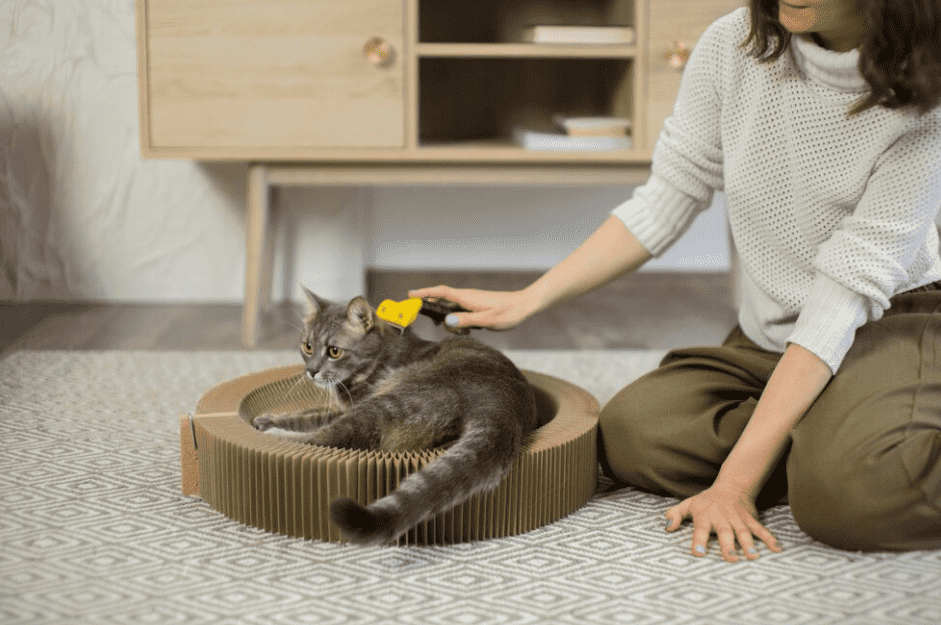 kedi tüy dökümesi