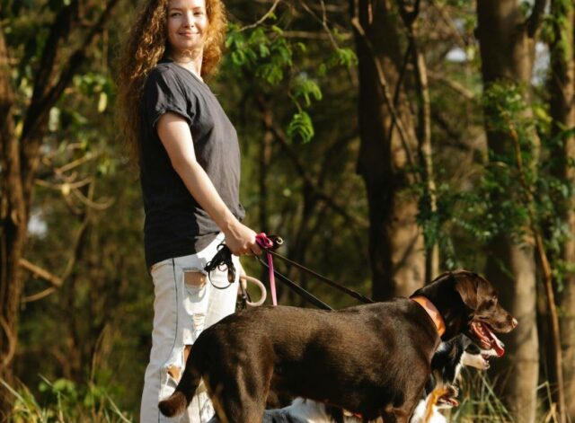 köpek gezdirme