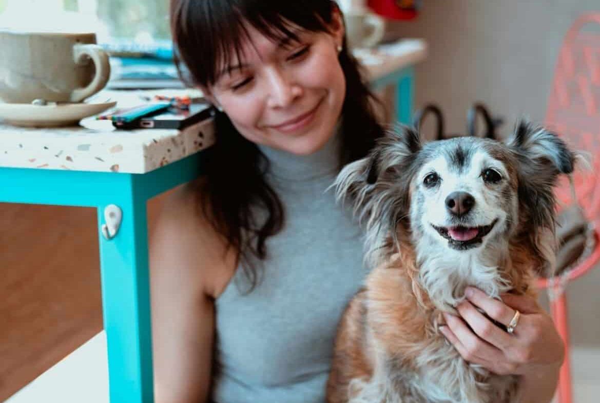 köpek gezdirme hizmeti