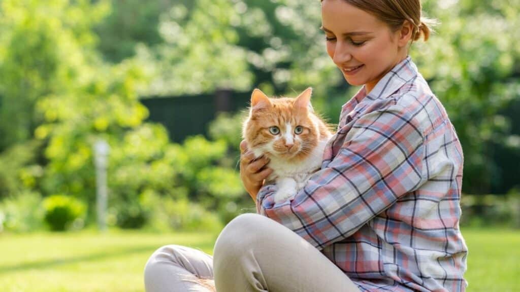 Kedi Bakıcısı