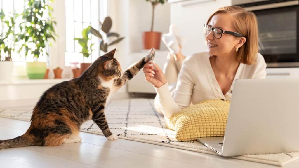 Kedi Bakıcısı