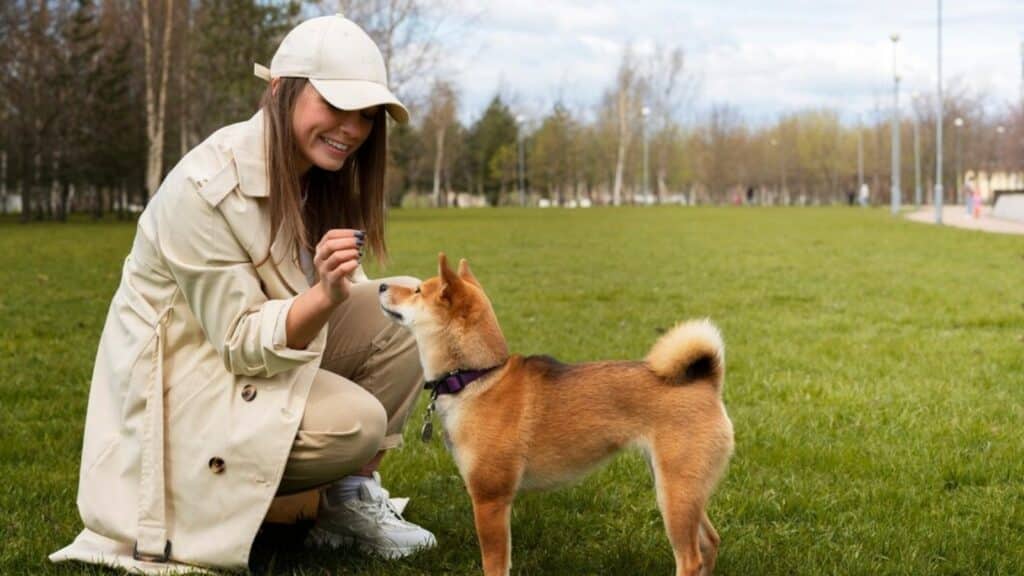 Köpeklerin havlaması