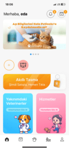 petinoks özellikler