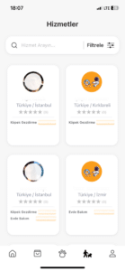 petinoks özellikler