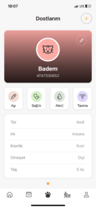 petinoks özellikler