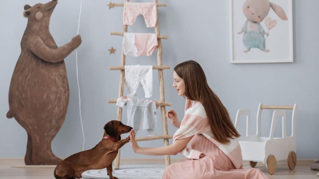 erkek köpek isimleri