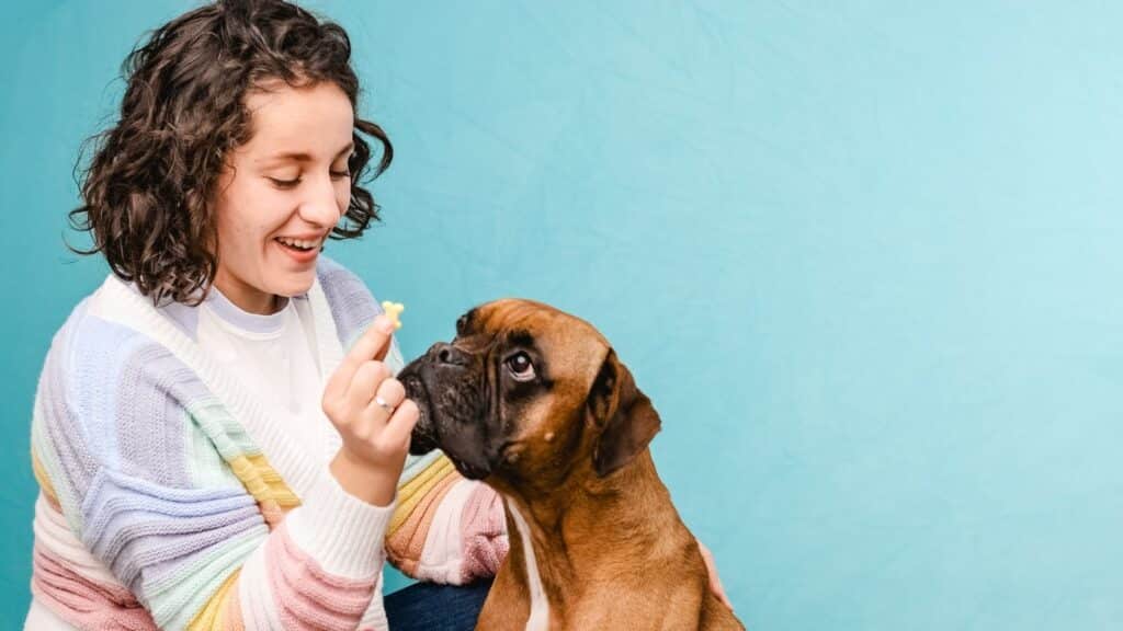 erkek köpek isimleri
