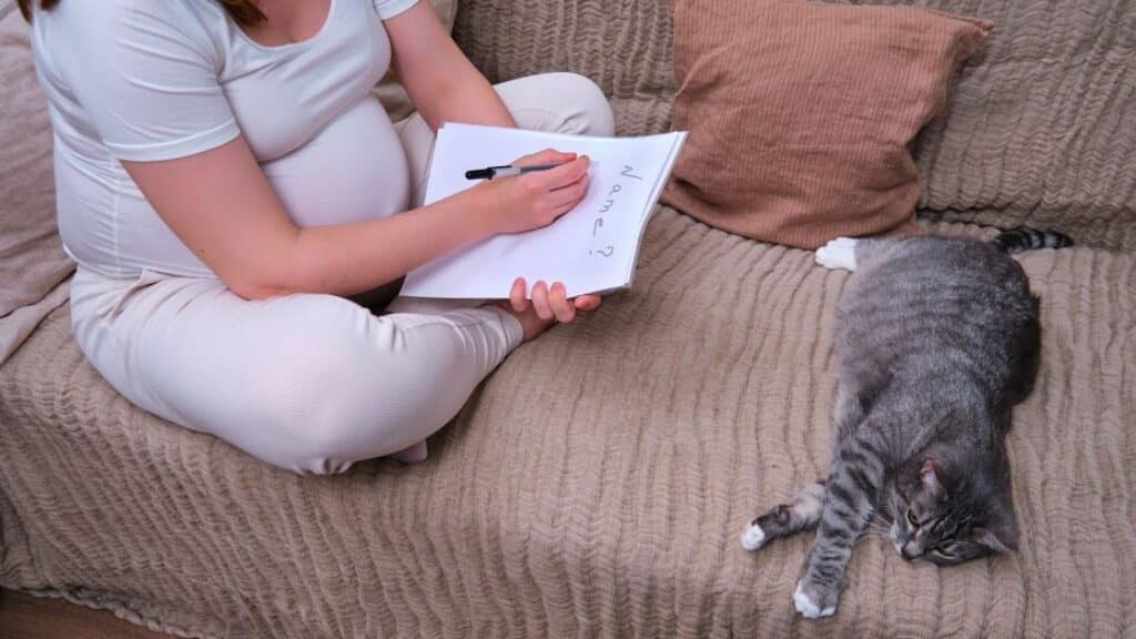 En Güzel Kedi İsimleri Nelerdir?