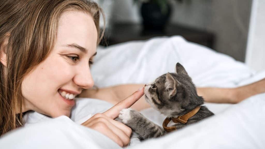 kedi sahiplenme