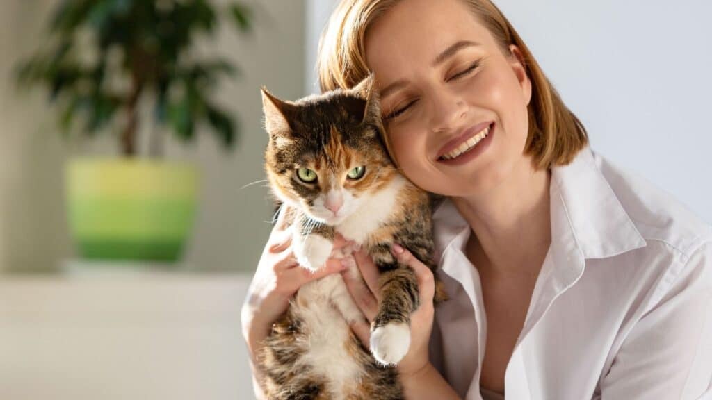 kedi sahiplenme