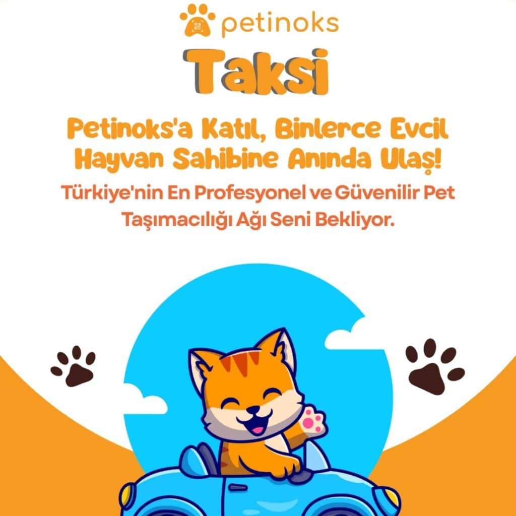 petinoks taksi